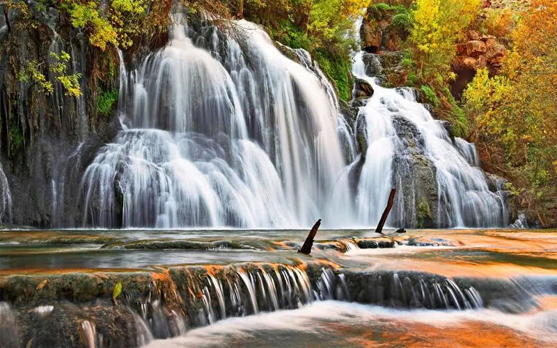 网络化高端